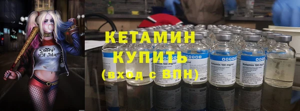 шишки Елизово