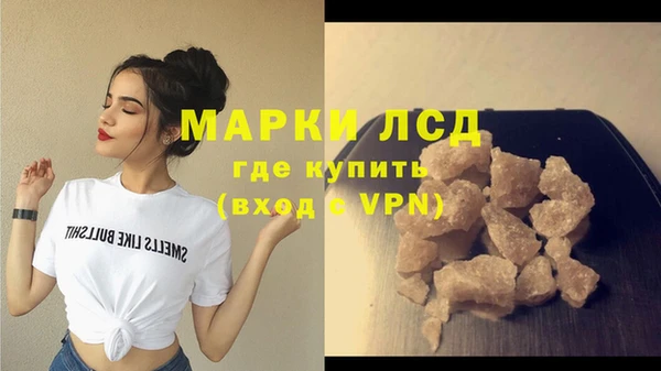 шишки Елизово