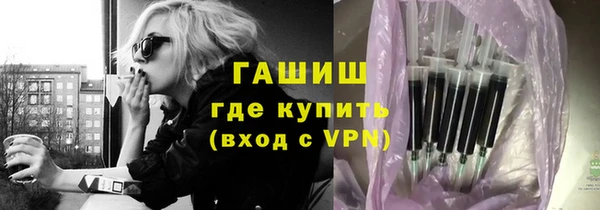 шишки Елизово