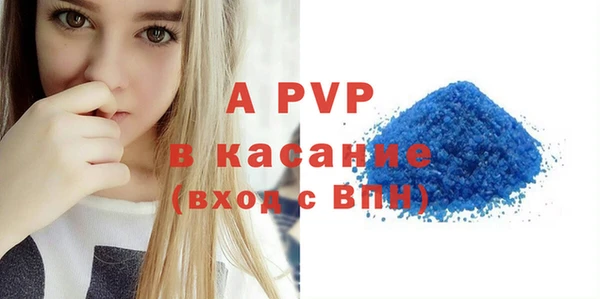 шишки Елизово