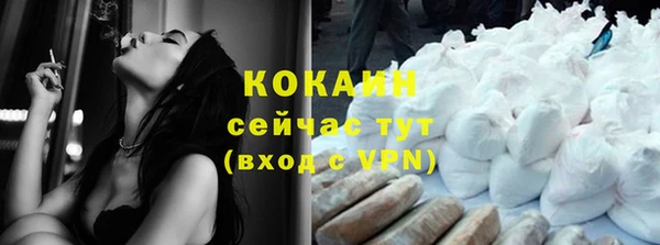шишки Елизово