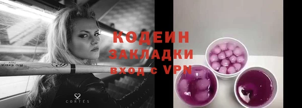 шишки Елизово