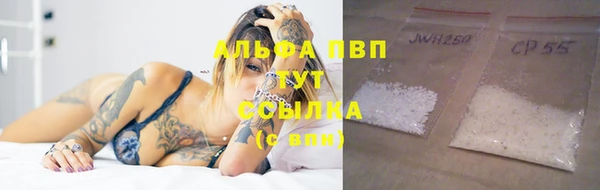 шишки Елизово