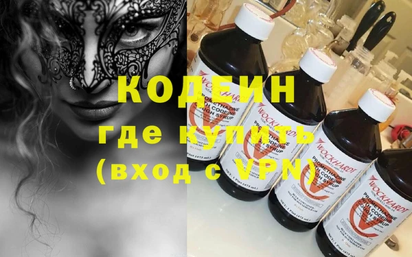 шишки Елизово