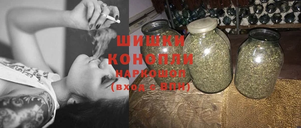 шишки Елизово